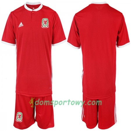 Koszulka Walia Dziecięcy Domowe Koszulki Piłkarskie 2018-2019 Krótki Rękaw